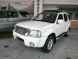 帕拉丁最新爆料消息,揭秘神秘项目，行业变革即将到来！